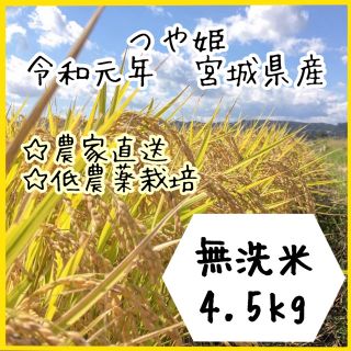 即購入OK♪【農家直送】新米 宮城県産つや姫　無洗米4.5kg【送料無料】(米/穀物)