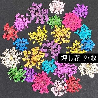 押し花 24枚セット ドライフラワー レースフラワー 12色  (ネイル用品)