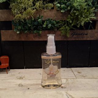 フェルナンダ(FERNANDA)のフェルナンダ　ボディーミスト100ml(香水(女性用))