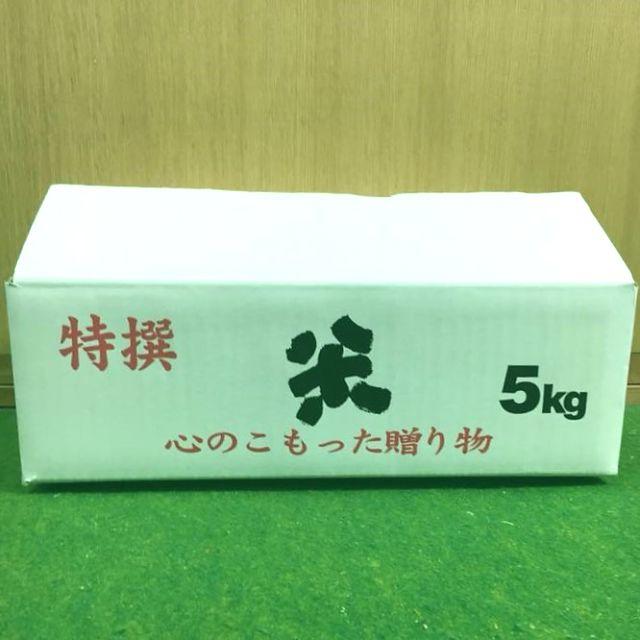 無農薬!自然栽培!農家直送!令和元年度佐賀県産!「伊勢ヒカリ」玄米５ｋｇ 食品/飲料/酒の食品(米/穀物)の商品写真