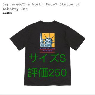 シュプリーム(Supreme)のsupreme north face(Tシャツ/カットソー(半袖/袖なし))