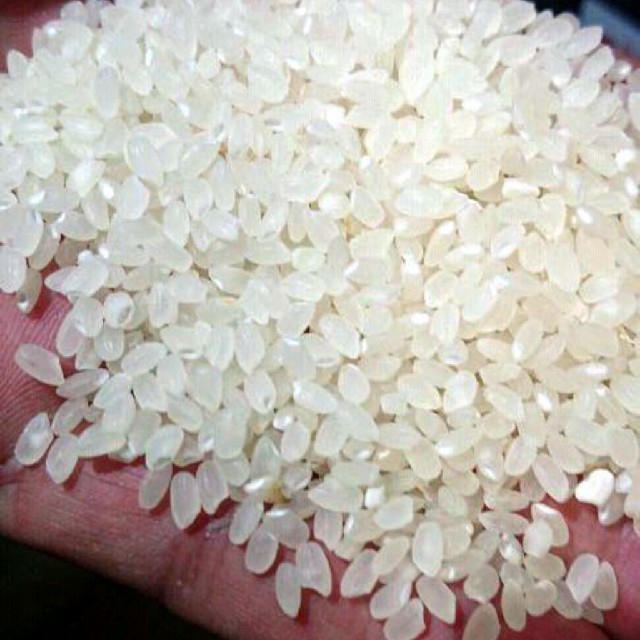 純キヌヒカリ 令和元年度産 新米10㎏ 食品/飲料/酒の食品(米/穀物)の商品写真