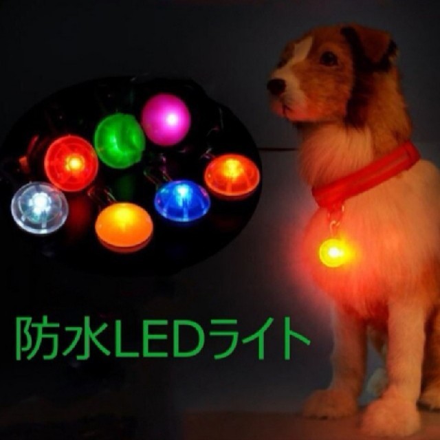 新品☆ワンちゃんの散歩にオススメ！クリップ付LEDライト その他のペット用品(犬)の商品写真