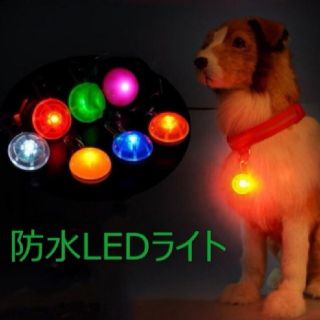 新品☆ワンちゃんの散歩にオススメ！クリップ付LEDライト(犬)