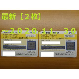 エーエヌエー(ゼンニッポンクウユ)(ANA(全日本空輸))のまぐまぐ様専用★【2枚】ANA株主優待券★ ～2020.11.30(その他)