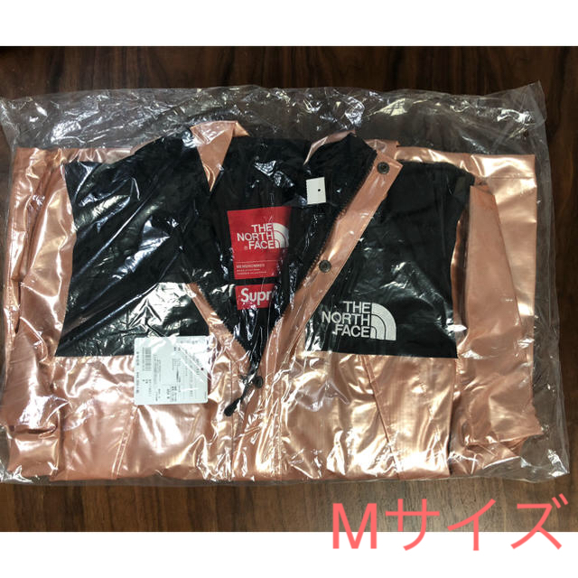 Supreme TheNorthFace Metallic Mountain