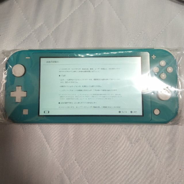 Nintendo Switch Lite ターコイズ