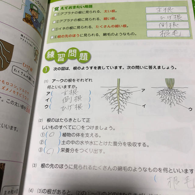 わからないをわかるにかえる中1理科、国語、地理 エンタメ/ホビーの本(語学/参考書)の商品写真