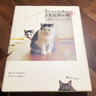 まこという名の不思議顔の猫　（3）(住まい/暮らし/子育て)