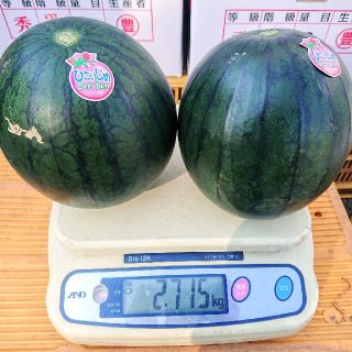 【訳あり】熊本産黒小玉スイカ“ひとりじめボンボン”2玉入り★1玉約1300g2玉(フルーツ)