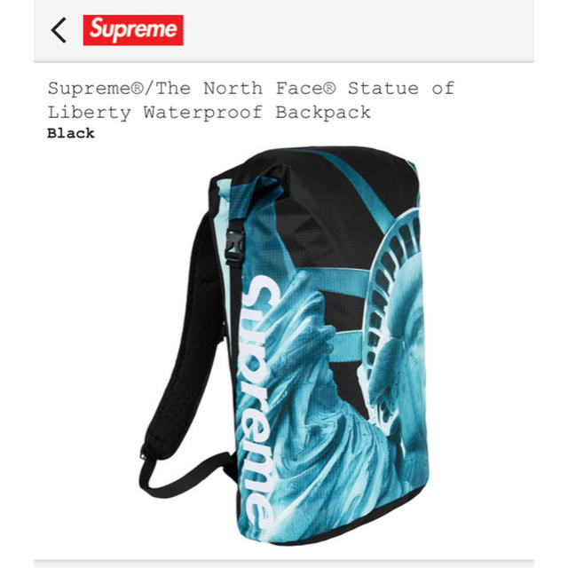 Supreme®/The North Face®  Backpack