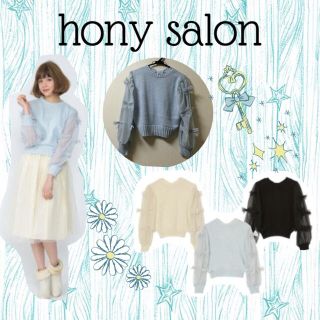 ハニーサロン(Honey Salon)の10月中大特価！半額以下！最終値下げ！(ニット/セーター)