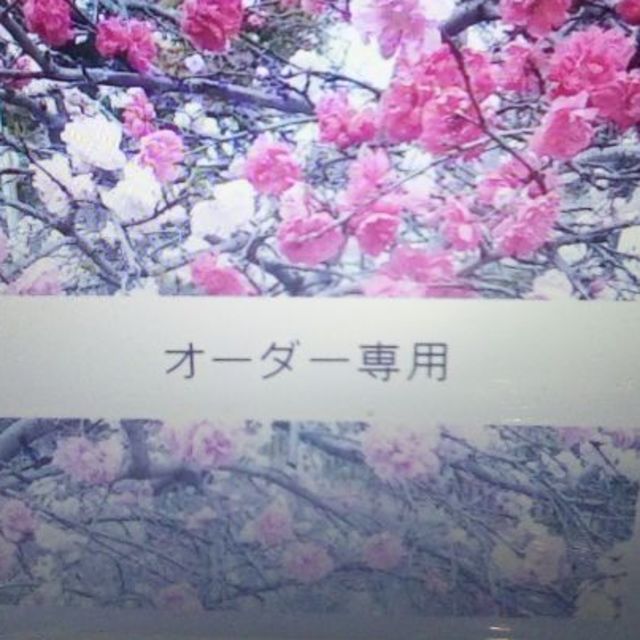 今季一番 桜キティ様専用 ファンデーション