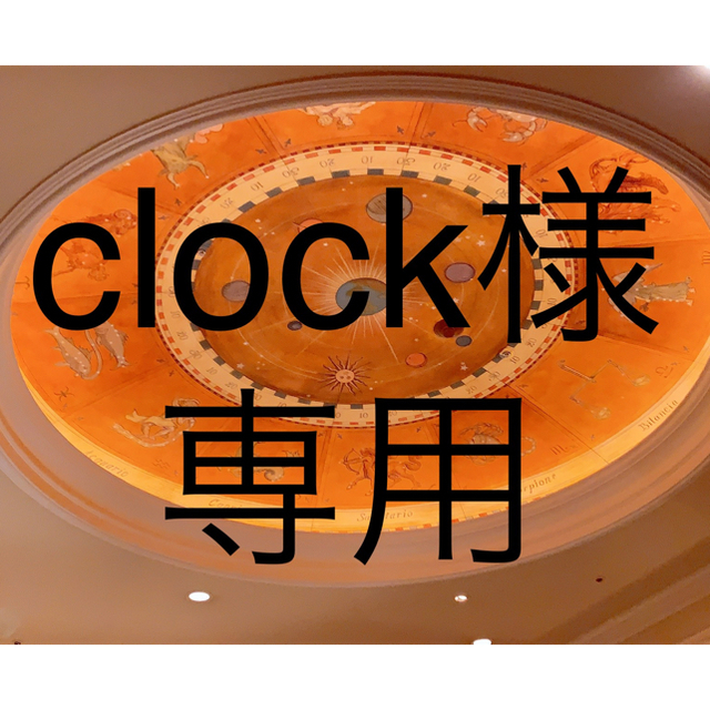 clock様　専用☆ その他のペット用品(犬)の商品写真