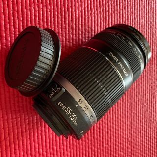 キヤノン(Canon)の仲井健人様専用！EFS55-250mm(望遠レンズ本体)(レンズ(ズーム))