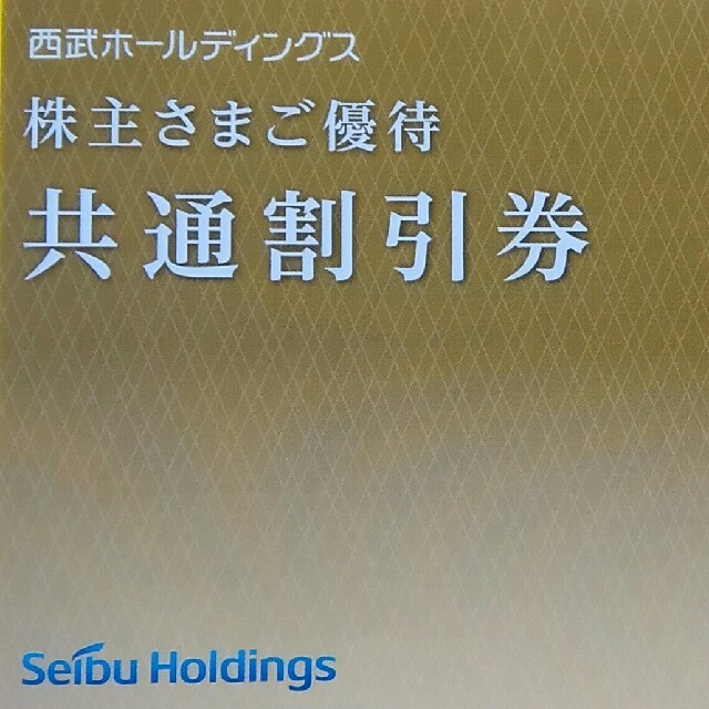 チケット西武ホールディングス 共通割引券 １０枚