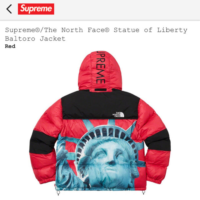 supreme×The North Face Statue of Liberty