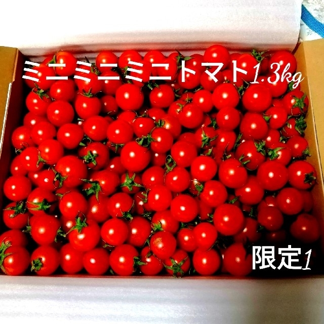 限定1☆熊本県産ミニミニミニトマト1.3kg 食品/飲料/酒の食品(野菜)の商品写真