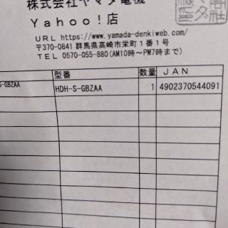 納品書あり 任天堂スイッチライト ポケモン 新品未開封 ザシアン・ザマゼンタ