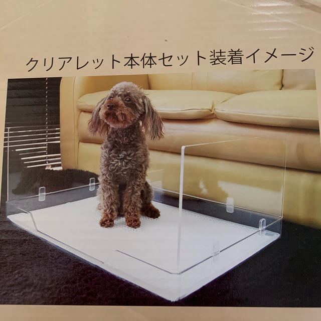 おしゃれ室内犬用トイレ クリアレット 犬 Www Ivispisorrisi It