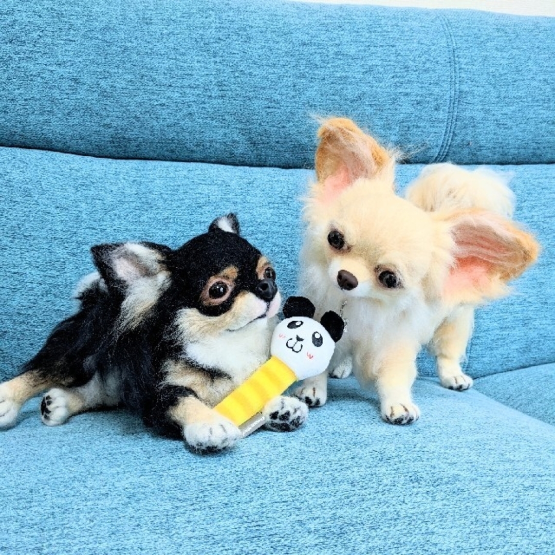 ✨💗羊毛フェルト🐶ロングコートチワワ💗犬No.00の通販 by ✨💗羊毛フェルト🐶ロングコートチワワ💗犬No.00の通販 by