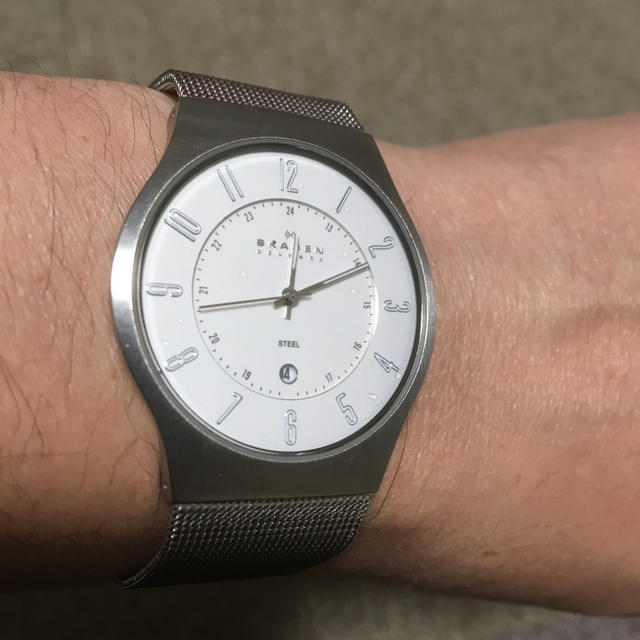 SKAGEN(スカーゲン)のSKAGEN  233XLSS  シルバー メンズの時計(腕時計(アナログ))の商品写真