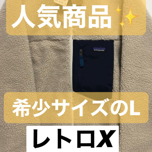 メンズパタゴニア  レトロX