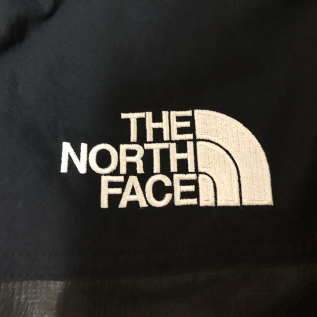 THE NORTH FACE / GTX  PAMIR  JACKET 2