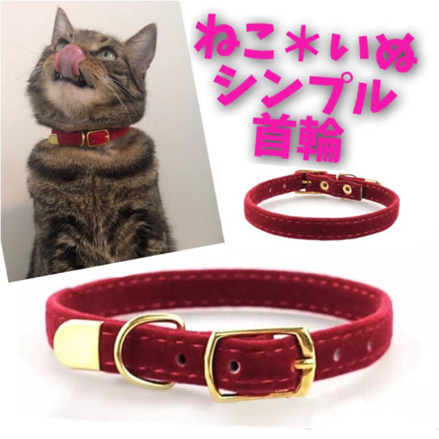 猫 犬 子猫 子犬 シンプル 首輪 ペット ねこ いぬ ウサギ うさぎ＊赤 その他のペット用品(猫)の商品写真