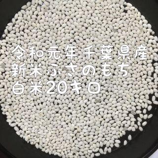 もち米白米20キロ(米/穀物)