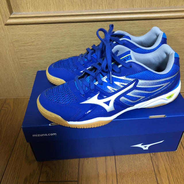 MIZUNO(ミズノ)のミズノ　卓球シューズ　25センチ スポーツ/アウトドアのスポーツ/アウトドア その他(卓球)の商品写真