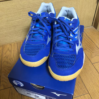 ミズノ(MIZUNO)のミズノ　卓球シューズ　25センチ(卓球)