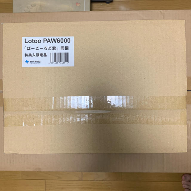 【新品未開封】Lotoo PAW6000（初回限定特典付）