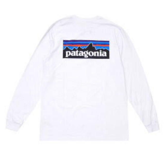 patagonia ロングTシャツ