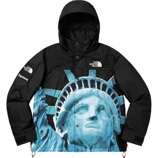 Supreme The North Face Mountain Jacket