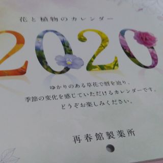 サイシュンカンセイヤクショ(再春館製薬所)のドモホルンリンクル　カレンダー　2020(カレンダー/スケジュール)