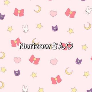 Norizowさん専用♡(その他)