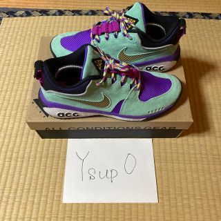 ナイキ(NIKE)のNIKE ACG DOG MOUNTAIN(スニーカー)