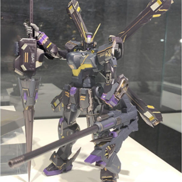 プレミアムバンダイ限定 METAL BUILD クロスボーン ガンダムX2