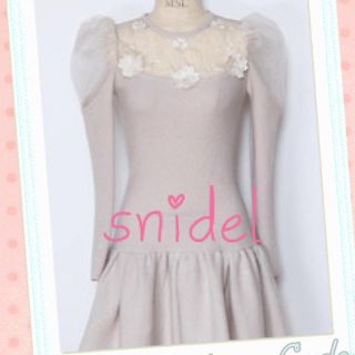 スナイデル(SNIDEL)の♡snidel♡チュール刺繍ワンピース♪(ひざ丈ワンピース)