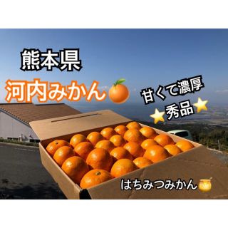 熊本県 河内みかん ☆はちみつみかん☆農家直送(フルーツ)