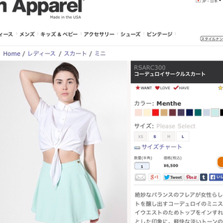 アメリカンアパレル(American Apparel)のsale☆アメアパ 3500→2999(ミニスカート)