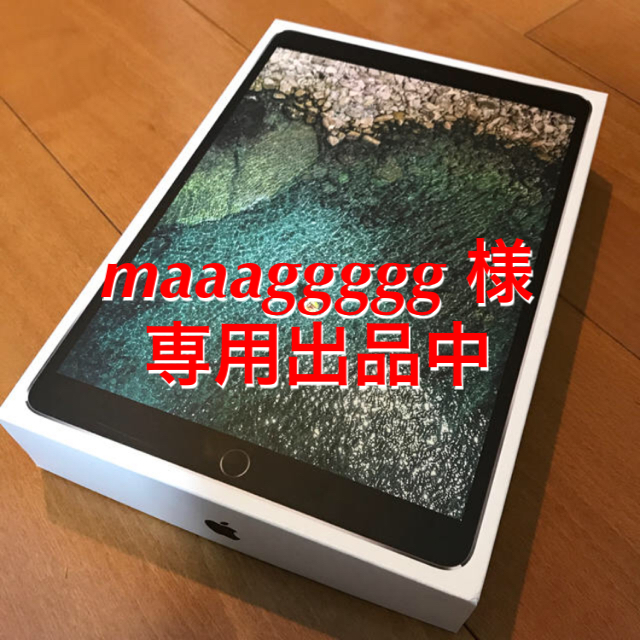 【感謝セール中! 美品】iPad Pro 10.5inch 256GB wifi