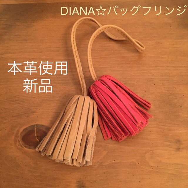 DIANA(ダイアナ)のDIANA☆バッグ付属品 レディースのバッグ(その他)の商品写真