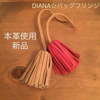 ダイアナ(DIANA)のDIANA☆バッグ付属品(その他)