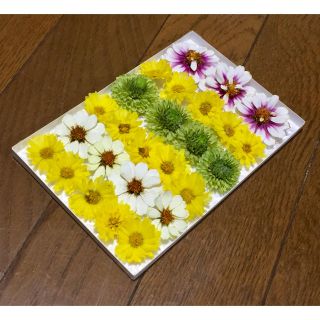 お花屋さんが作ったグリーンマムなどのドライフラワーです！   106(ドライフラワー)