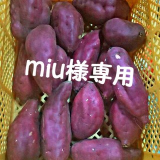 【miu様専用】ハロウィンスイート、パープル 2kg(野菜)
