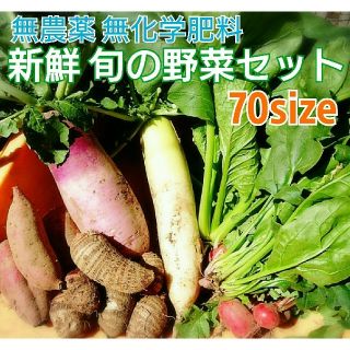 無農薬❗新鮮野菜セット(70サイズ) 長崎県五島列島よりお届け❗(野菜)