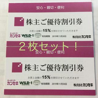 カンセキ株主優待券 ２枚‼️です。2019・11・30期限  お得です‼️(ショッピング)