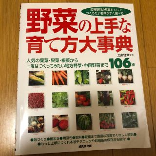 野菜の上手な育て方大事典 人気の葉菜・果菜・根菜から一度はつくってみたい地方(趣味/スポーツ/実用)